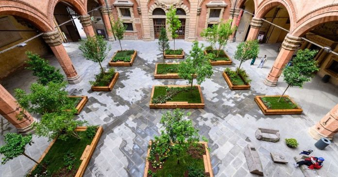 Pocket Garden Palazzo Accursio Bologna Pocket Garden Palazzo Accursio Bologna