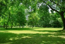 Parco