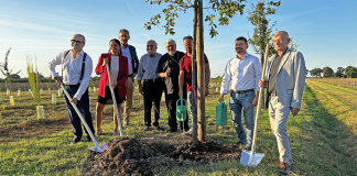 Il nuovo bosco CLAI a Imola: 62mila metri quadrati di verde per il rimboschimento di Sasso Morelli CLAI settembre 2023