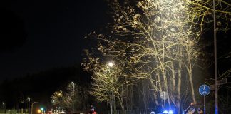 Carabinieri di notte