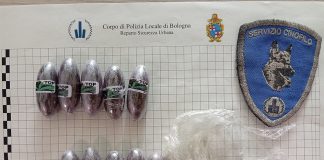 Bologna, 185 grammi di sostanze stupefacenti sequestrate dal nucleo cinofili della Polizia Locale Bologna droga sequetsrata dalla Polizia Locale