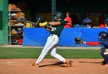 Baseball. Gli Athletics Bologna dividono la posta a Cagliari: vittoria in gara 1, ko nel secondo match Athletics Bologna_Del Priore